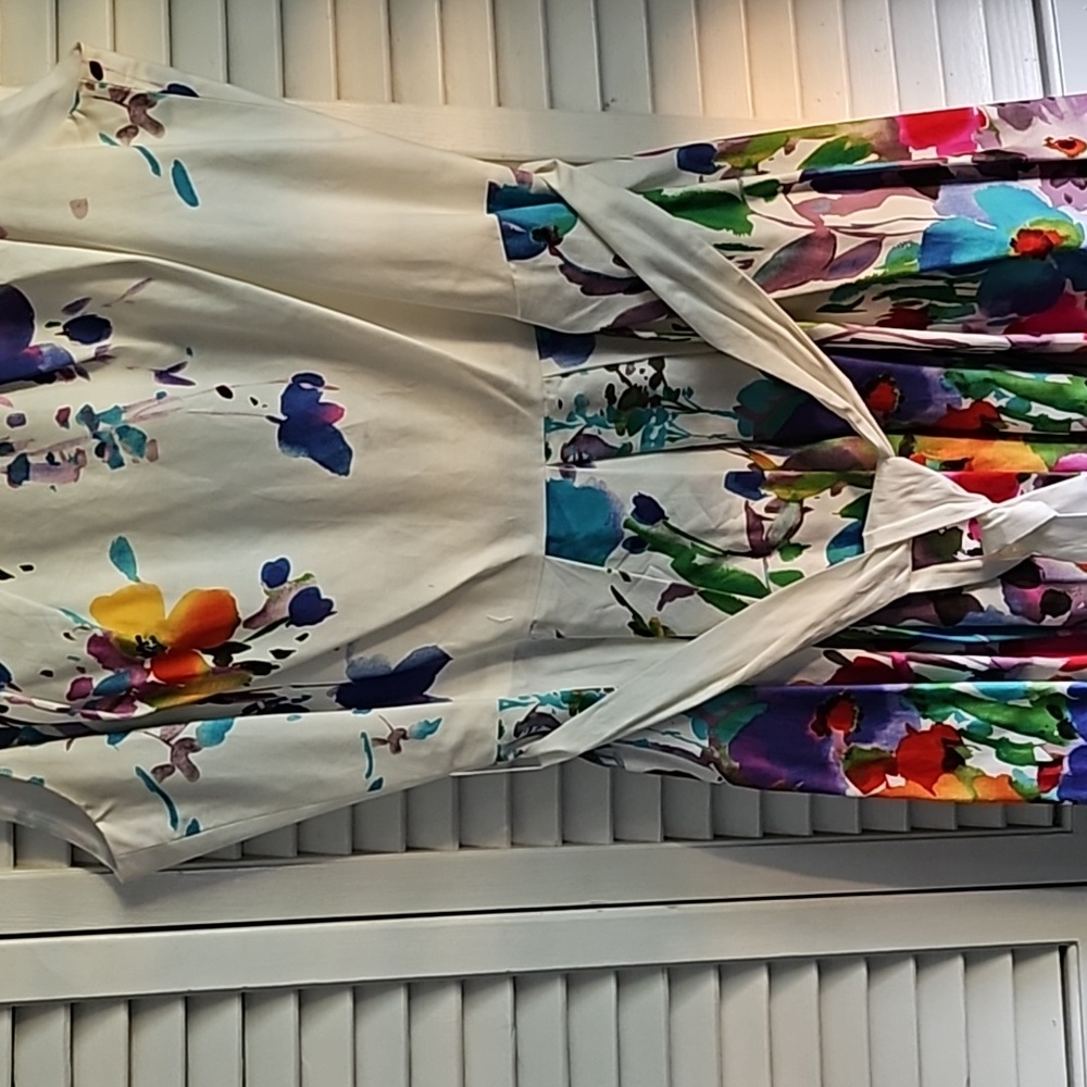 Dressbarn Size 10 Dress